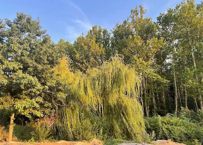 Apartament бонита плаж градина *