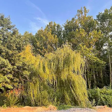 Apartment бонита плаж градина *